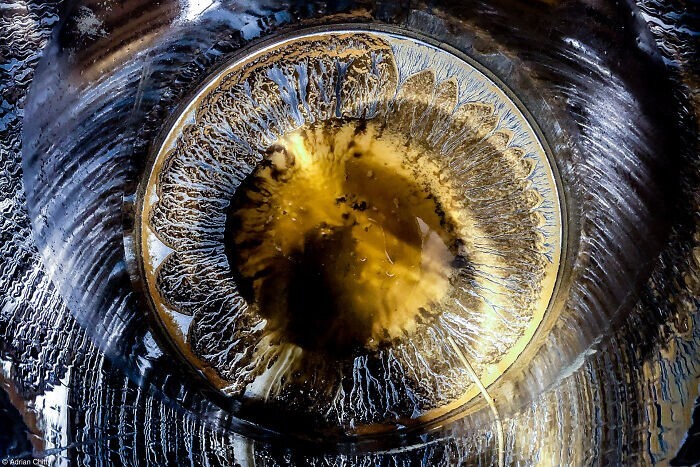 25. Осадок шардоне на дне чана. Фотограф - Adrian Chitty, США