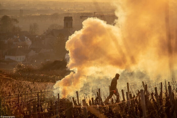 30. Работник французского виноградника сжигает ветки, оставшиеся с предыдущего сезона. Фотограф - Oscar Oliveras, Франция