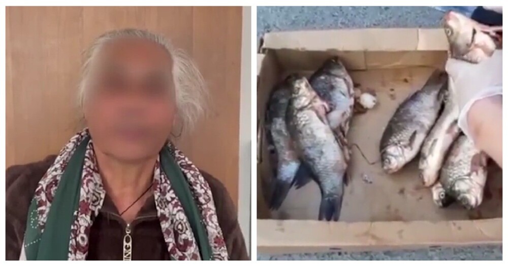 В Тюмени полиция задержала 70-летнюю бабушку, которая везла наркотики в карасях