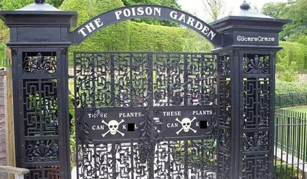 11. В Англии есть сад, полностью посвященный самым смертоносным растениям в мире