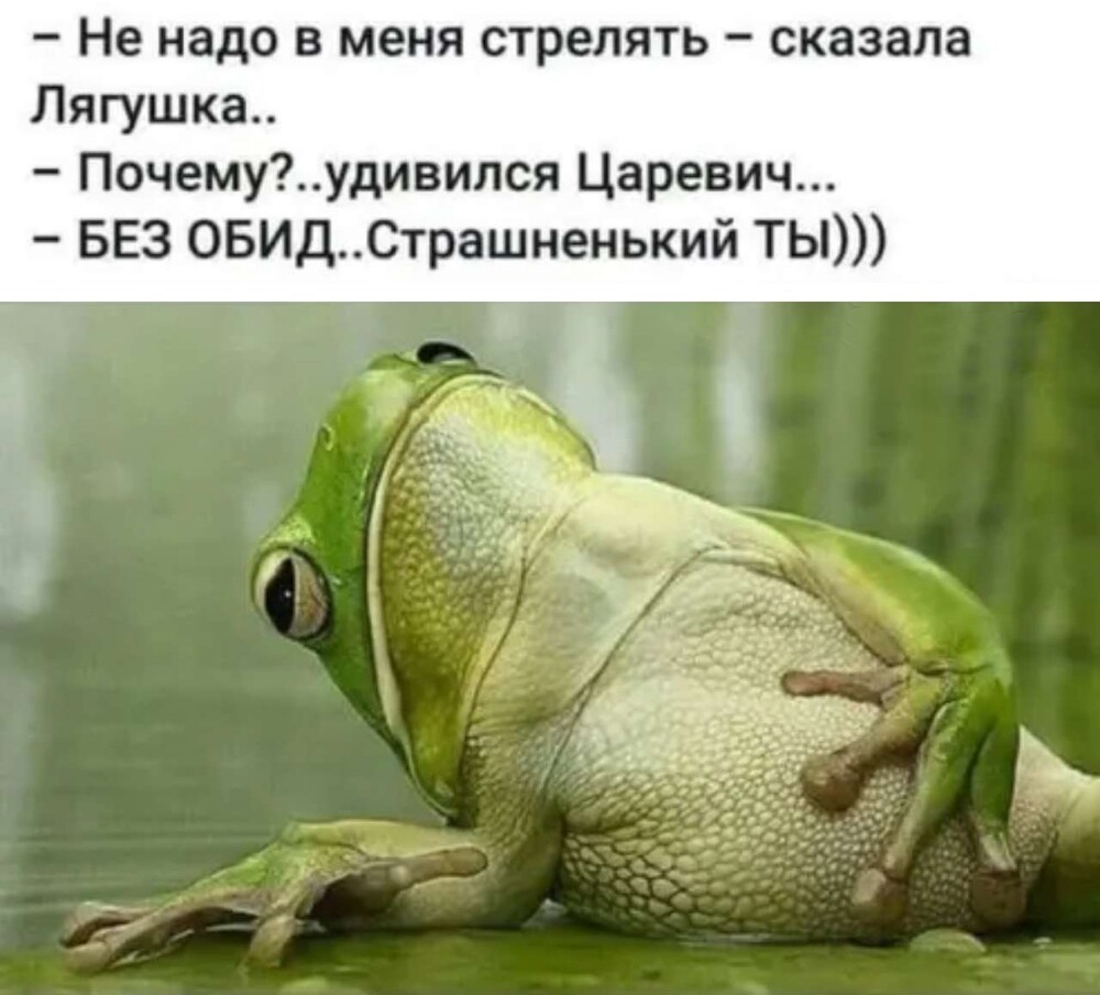 Фотоприколы и прикольные картинки