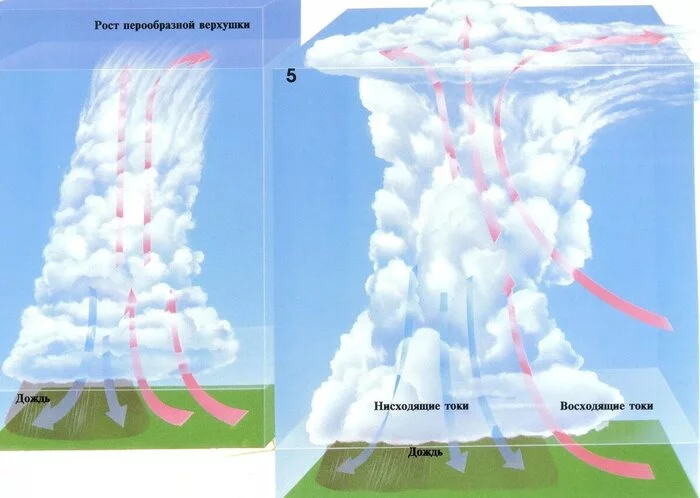 Чем опасны облака и как пилоты их обходят⁠⁠