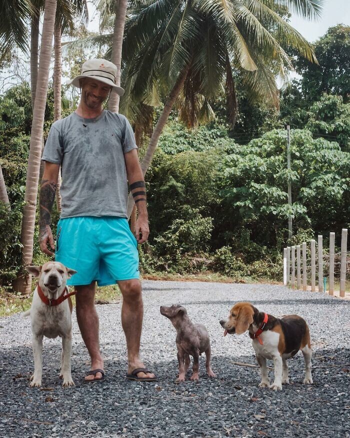 Мужчина поборол алкоголизм и нашёл призвание в спасении собак
