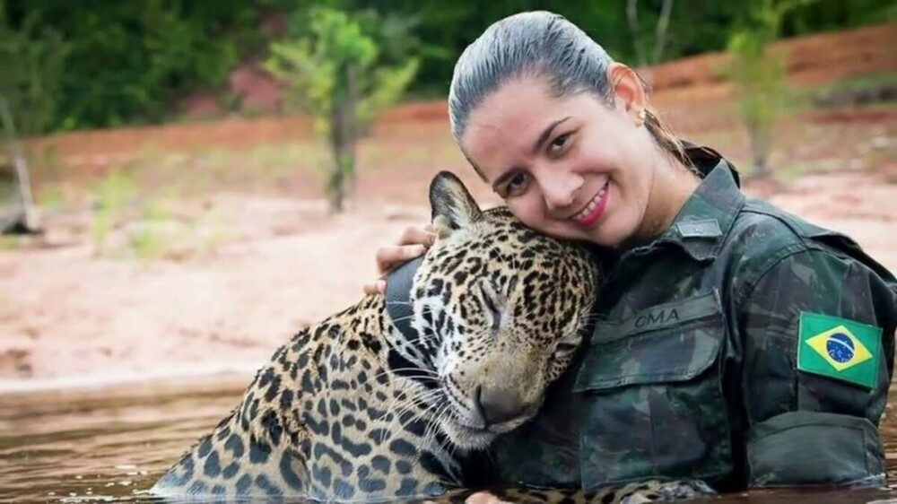 Тоже кошка, но только большая: необычная история ягуара в бразильской армии