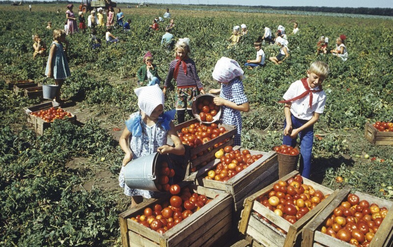 Всё вразнобой 