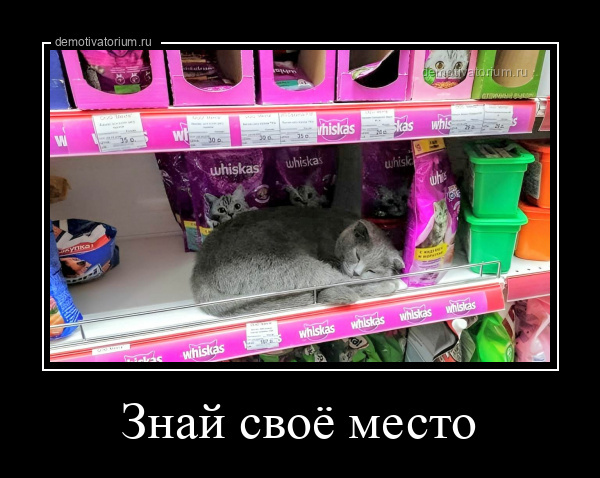 Знай своё место