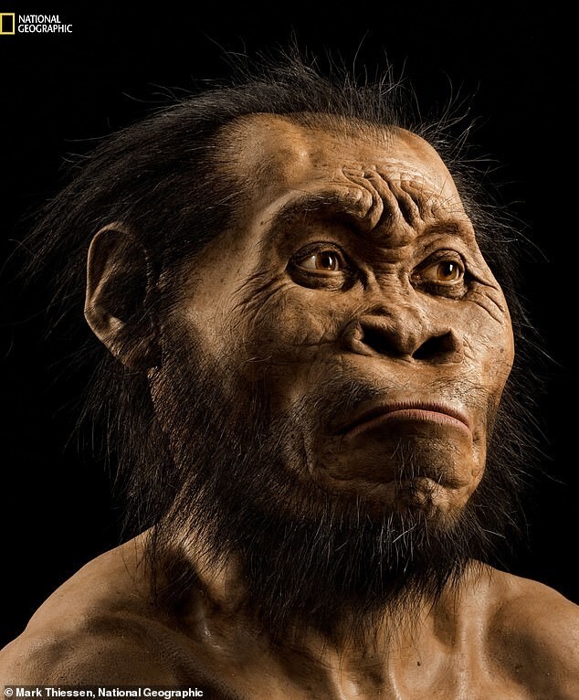 Учёные нашли захоронение вымерших людей Homo naledi