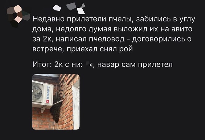 Фотоприколы и прикольные картинки