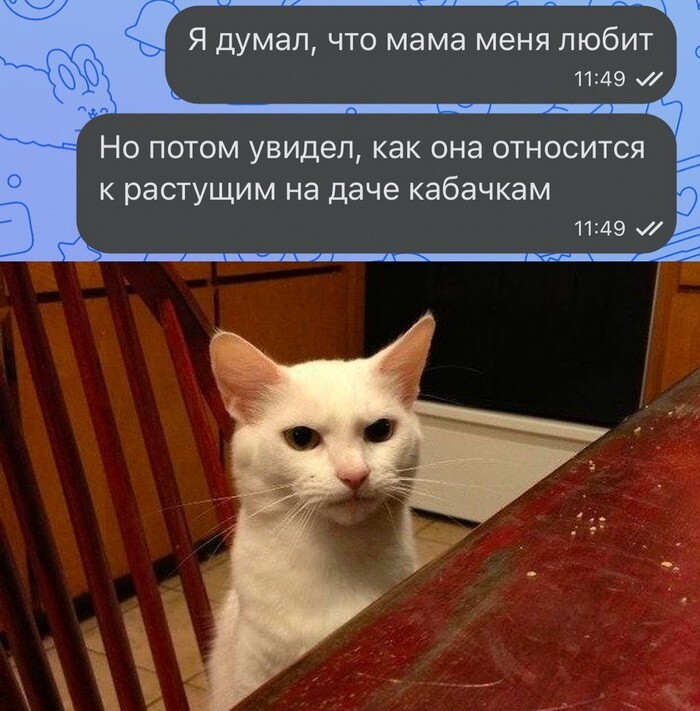 Скрины из соцсетей 