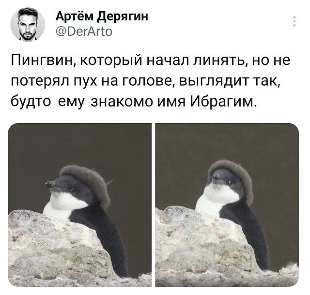 Скрины из соцсетей 