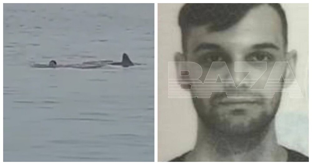 "Она его останки доедает". В Хургаде в результате нападения акулы погиб россиянин