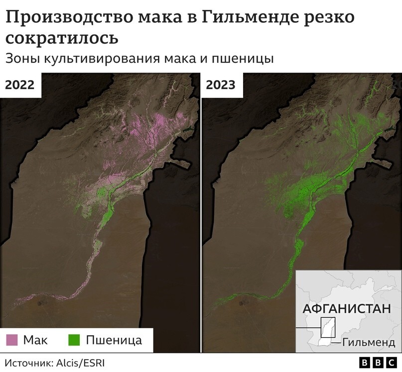 Стоило американцам уйти из Афганистана - как плантации опиумного мака там сократились на 99%!.. ЧУ-ДЕ-СААА!!!