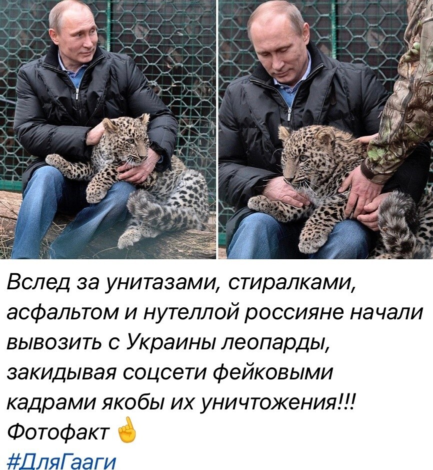 Лишь о политике