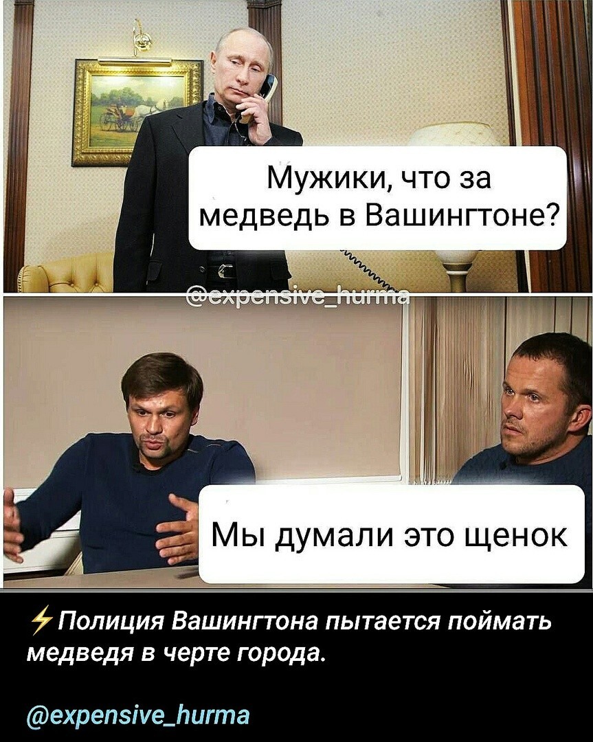 Лишь о политике