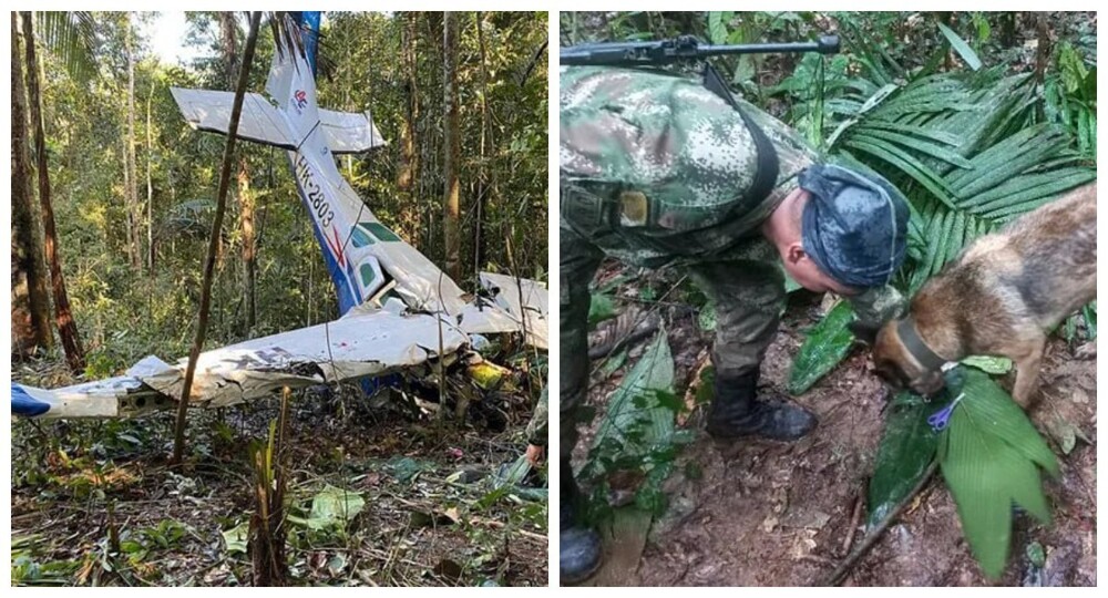 После 40 дней поисков в джунглях Амазонки живыми и невредимыми нашли четырёх потерявшихся детей