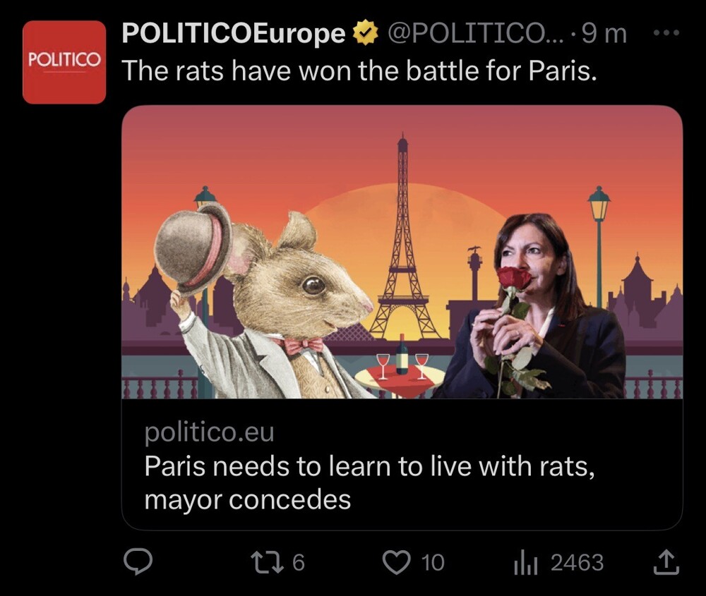 Мэр Парижа призвала парижан научиться сосуществовать с крысами