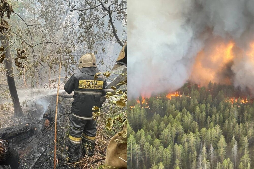"У них не было даже защитных костюмов": в Казахстане горят леса и гибнут лесничие