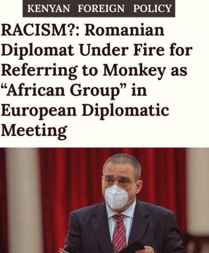 Румынского посла в Кении отстраняют из-за неудачной шутки про обезьян