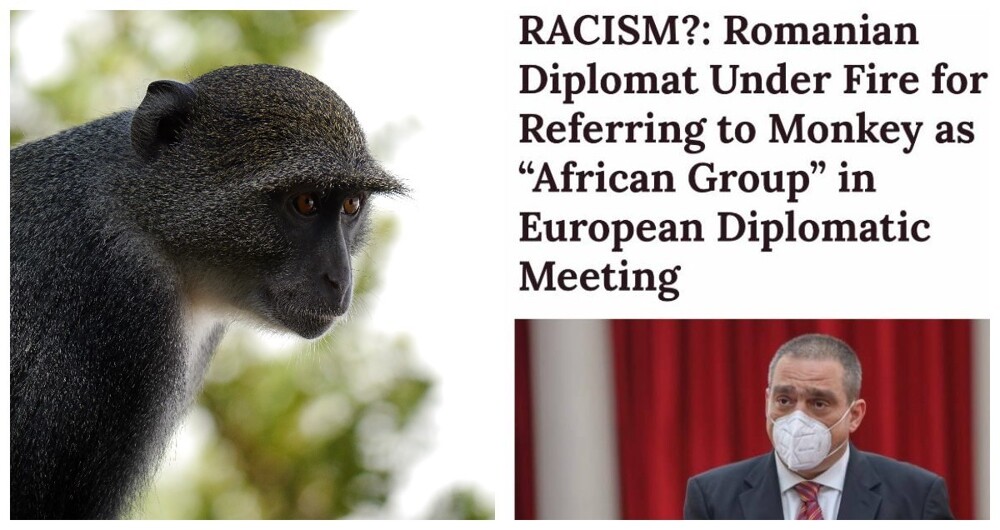 Посол Румынии в Кении сравнил обезьян с африканскими коллегами