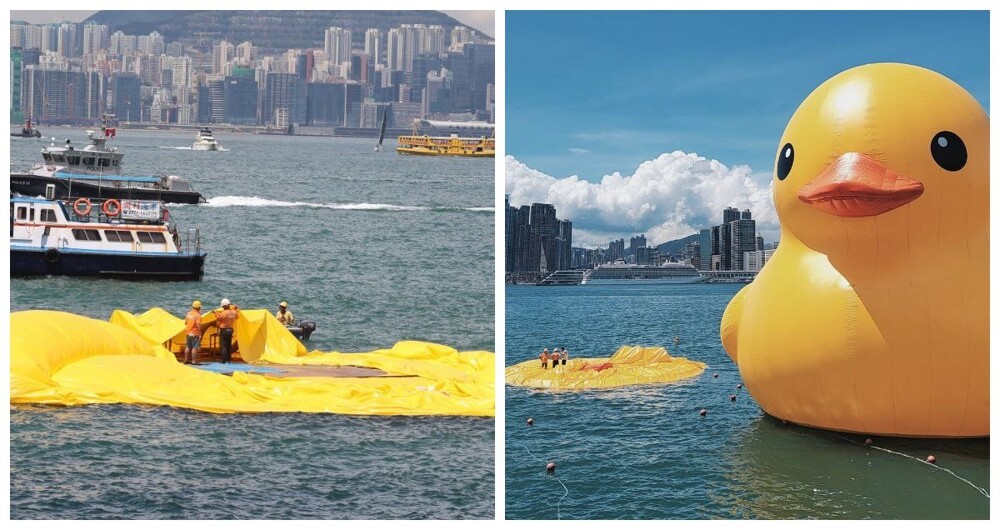 Гигантский желтый утенок в Гонконге сдулся на глазах у зрителей