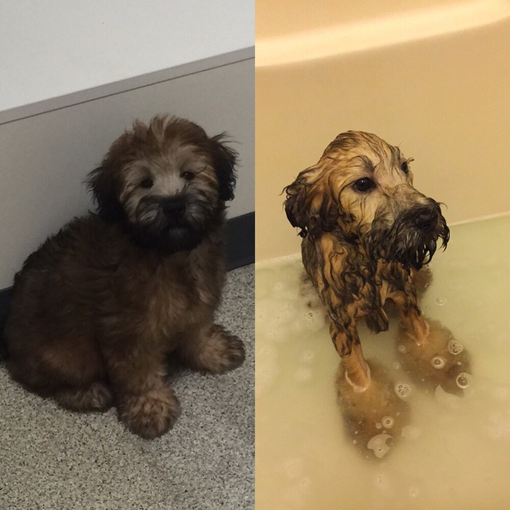 3. До и после ванны