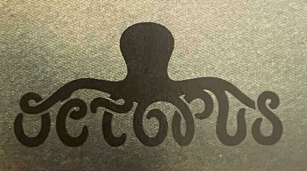 15. Логотип книжного издательства Octopus