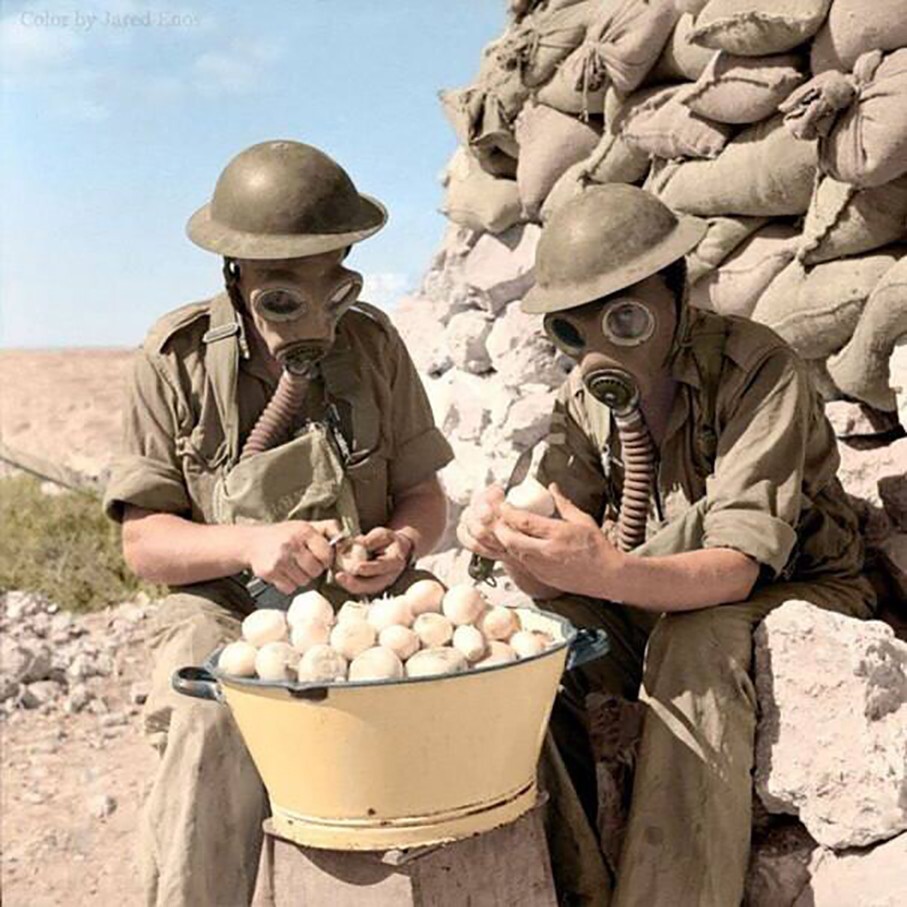 Солдаты британской армии чистят лук в противогазах. Ливия, 15 октября 1941 года