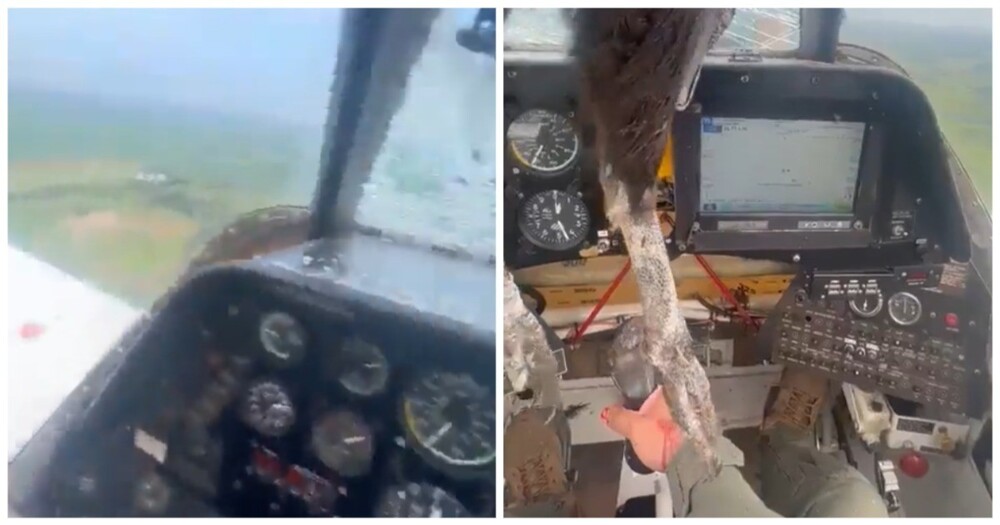 Пилот снял на камеру последствия столкновения птицы с лобовым стеклом самолета 