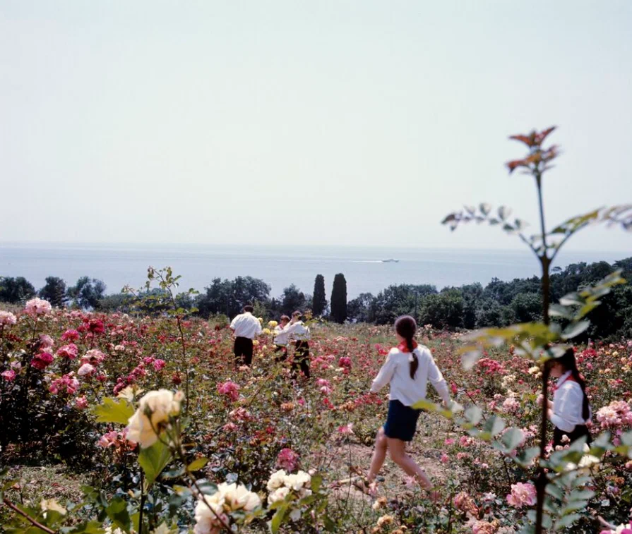 Пионеры во время посещения розария в Никитском ботаническом саду, 1970-е годы
