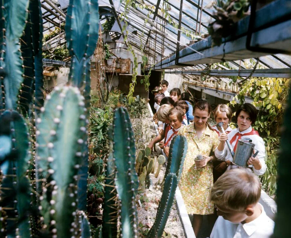 На экскурсии в кактусовой оранжерее Никитского ботанического сада, 1970 год
