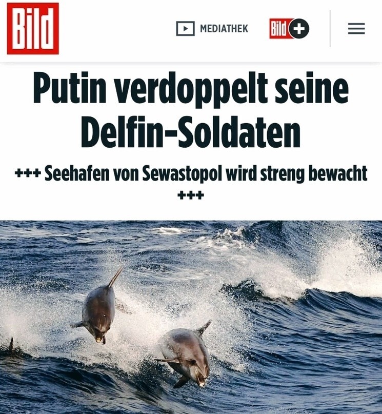 "Путин увеличил численность своих солдат - дельфинов"