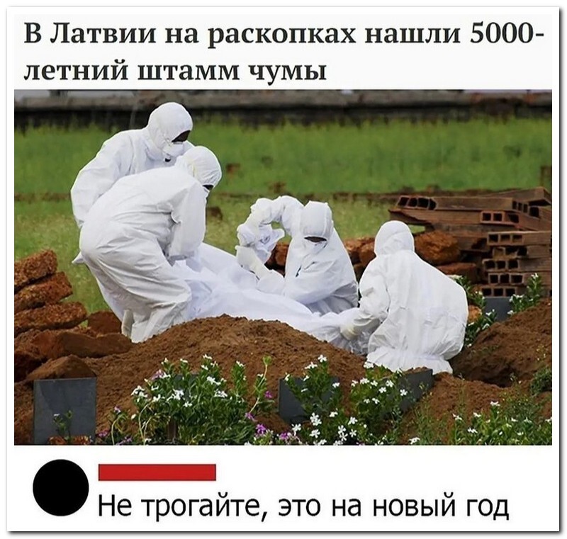 Скрины из соцсетей 