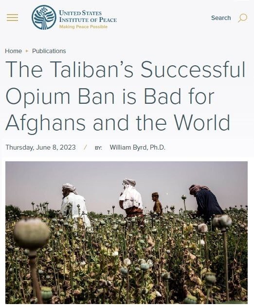 Американский институт мира констатирует, что тотальный запрет на выращивание и производство опиума, объявленный талибами, обернется бедой как для Афганистана, так и для всего мира. Потому что это разрушит местную наркоэкономику, что приведет к обнища