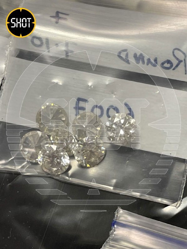 Более 80 крупных бриллиантов и изумрудов обнаружили в багажнике индийца, прилетевшего из Дубая во Внуково