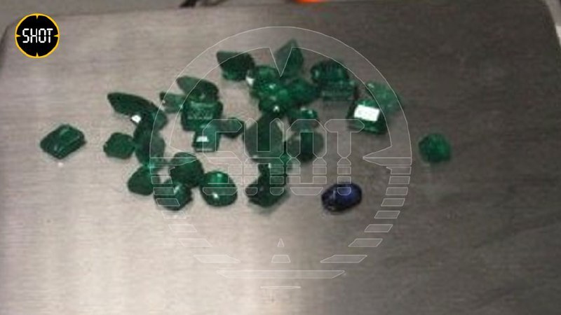 Более 80 крупных бриллиантов и изумрудов обнаружили в багажнике индийца, прилетевшего из Дубая во Внуково