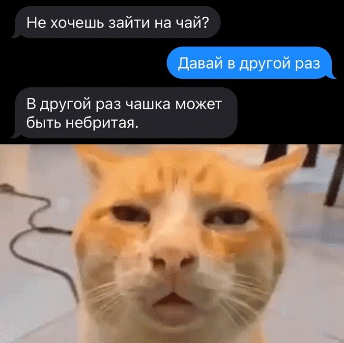 Скрины из соцсетей 