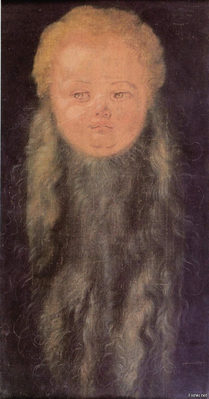 «Голова бородатого младенца» (1527)
