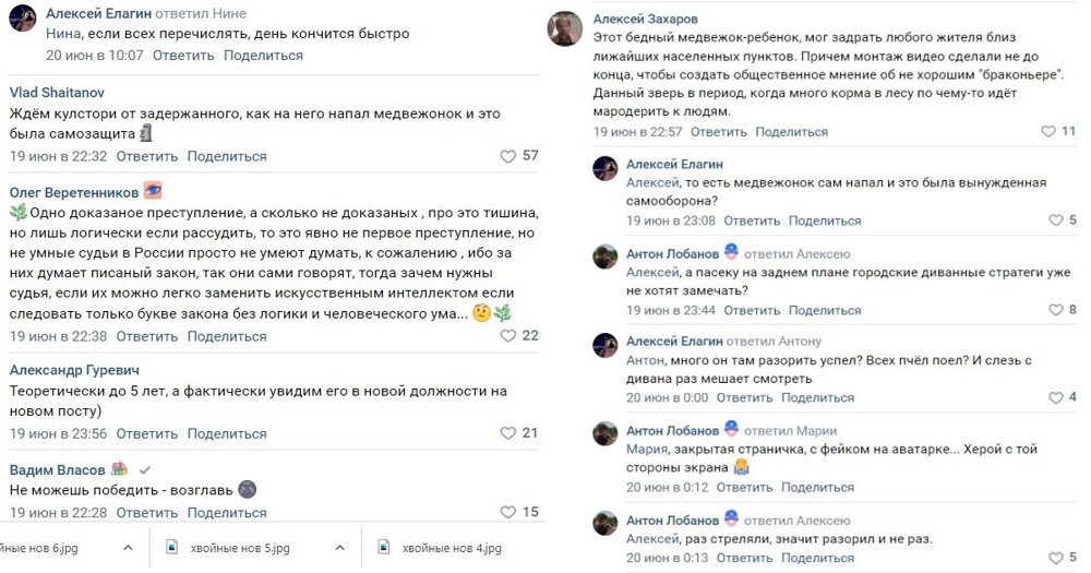 Чиновника Минлесхоза Нижегородской области задержали с поличным после убийства медвежонка