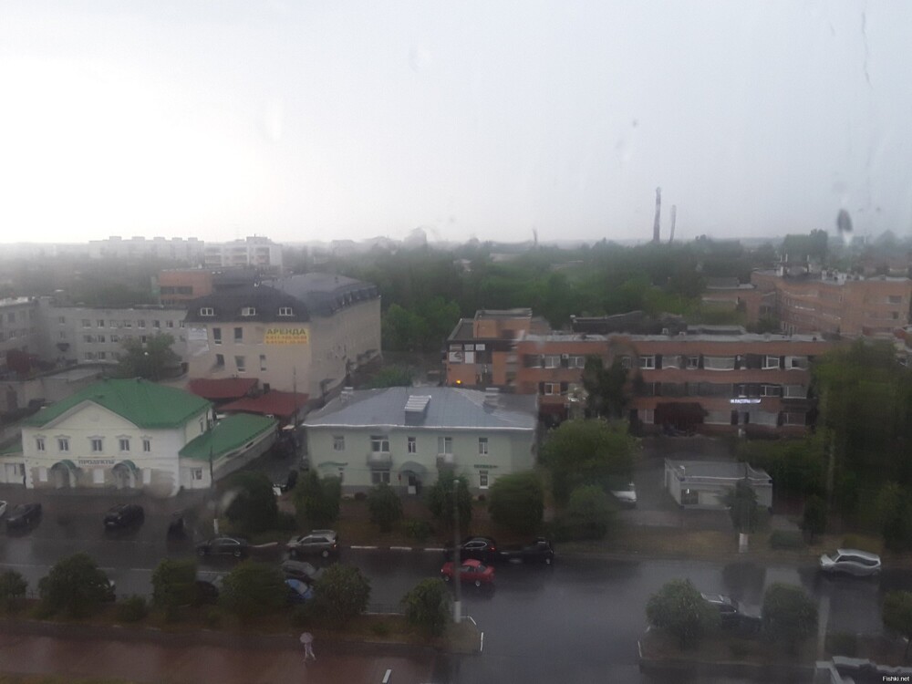 Ливень, передышка для аллергиков как я