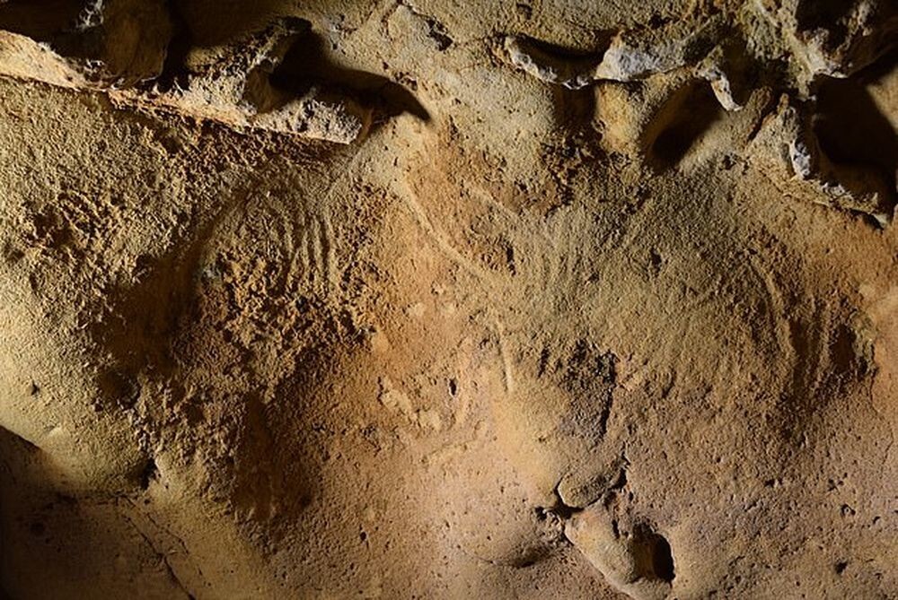 Во Франции нашли самые древние наскальные рисунки неандертальцев: им около 75 000 лет