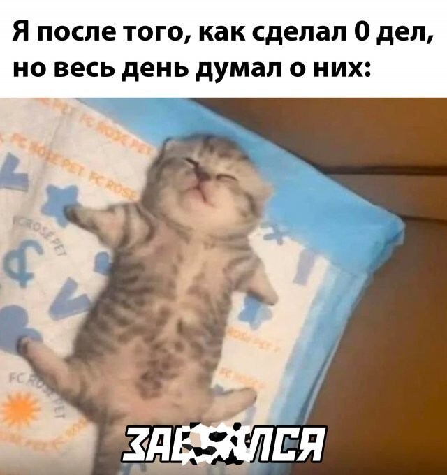 Намешалось