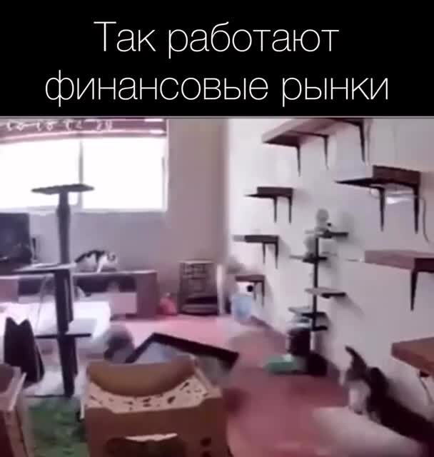 А теперь про экономику 