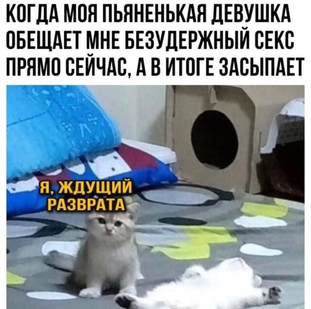 Не ищите здесь смысл. Здесь в основном маразм