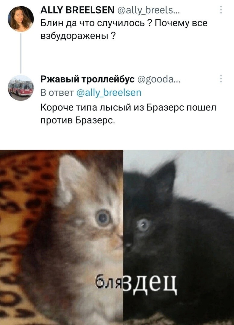 Лишь о политике