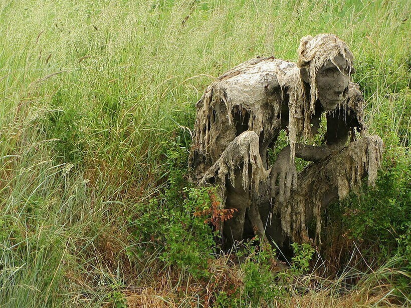 12 фотографий болотных монстров, которые поселились на топях Франции