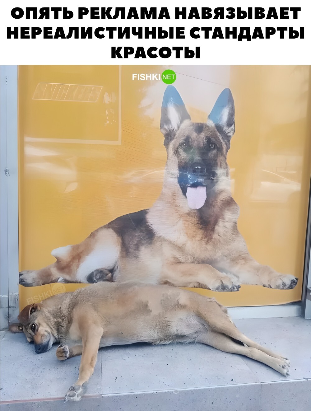 Стандарты красоты