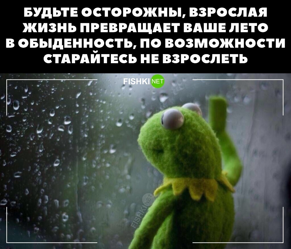 Взрослая жизнь