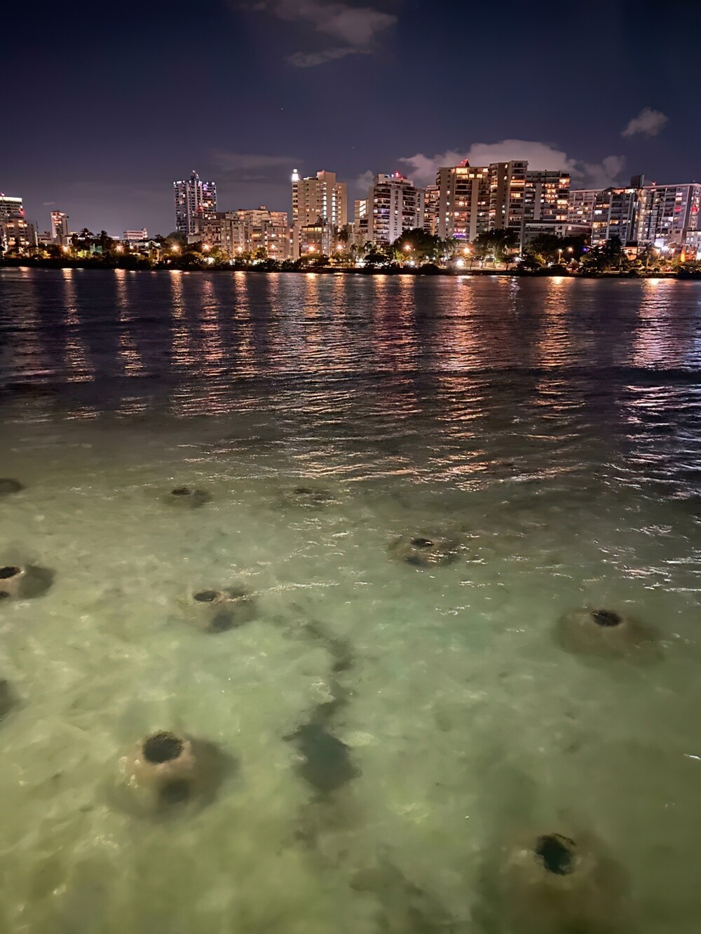 23. Странные дыры под водой, вызывающие тревогу. Пуэрто-Рико