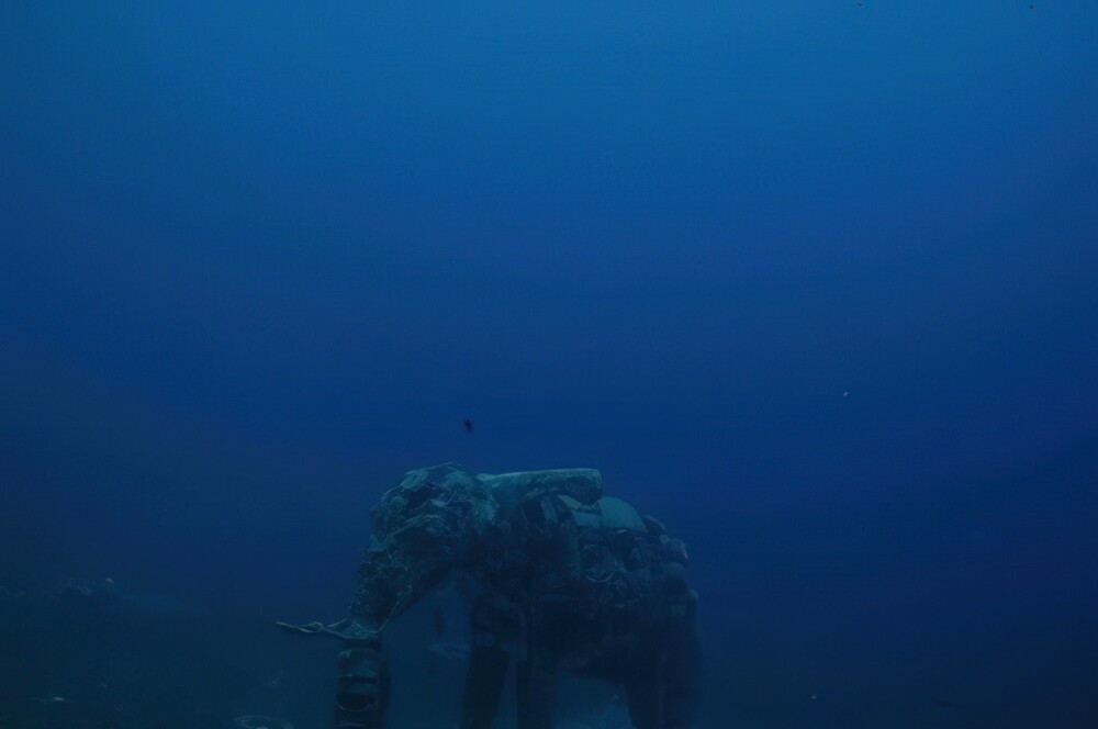 17. Затонувшая статуя слона. Дахаб, Египет