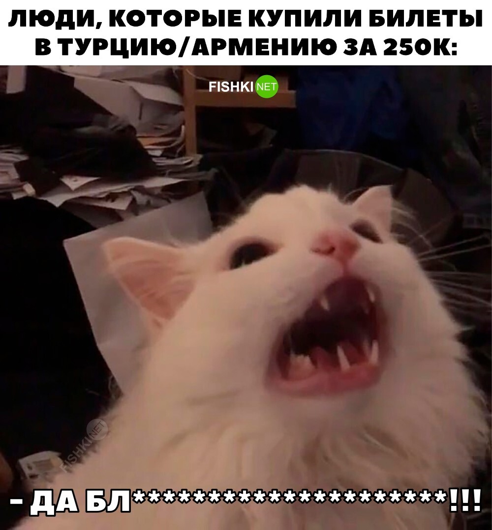 Бедолаги 